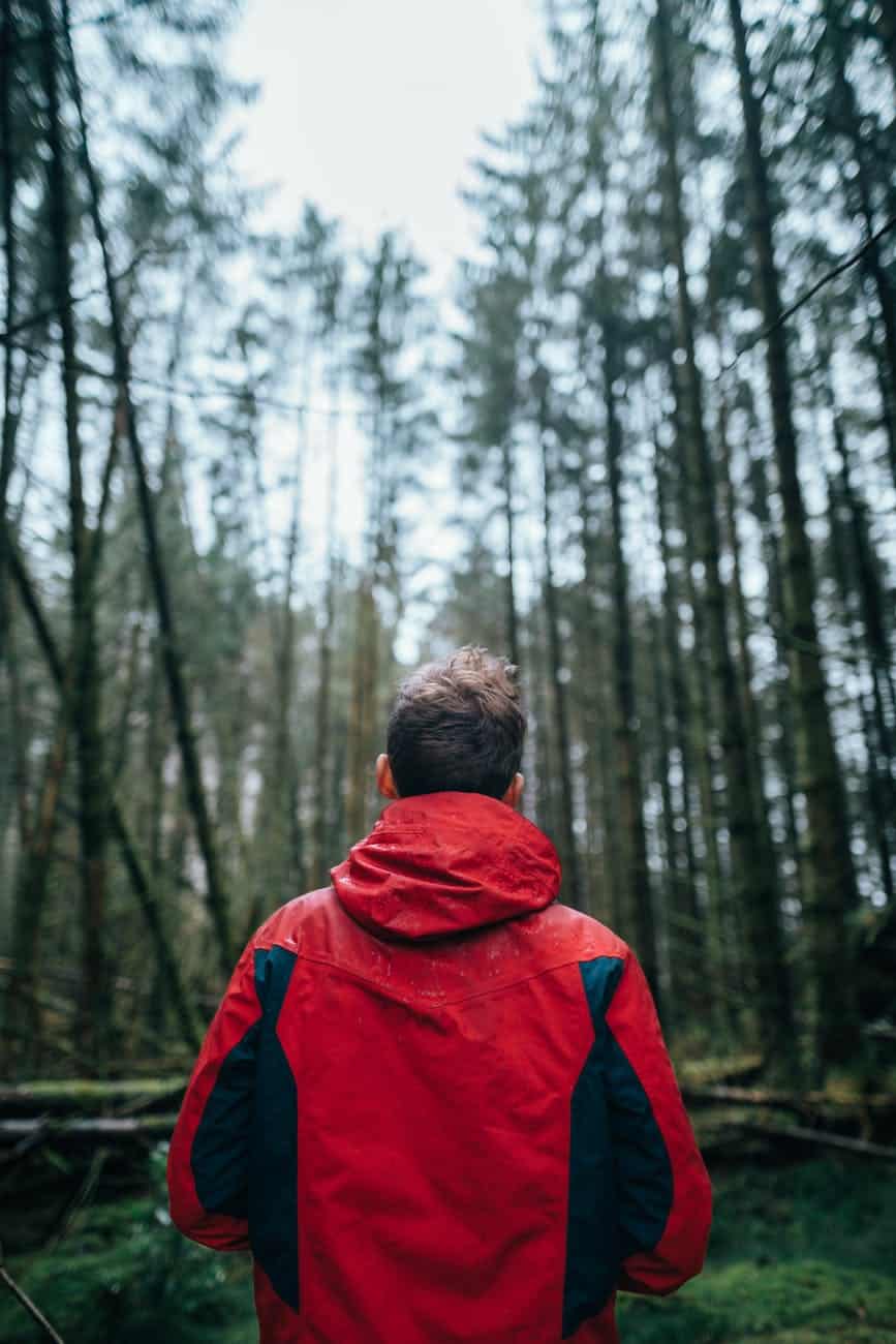 photography of man wearing black and red jacket standing in forest