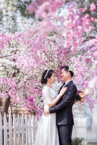 wedding couple under pink cherry blossoms