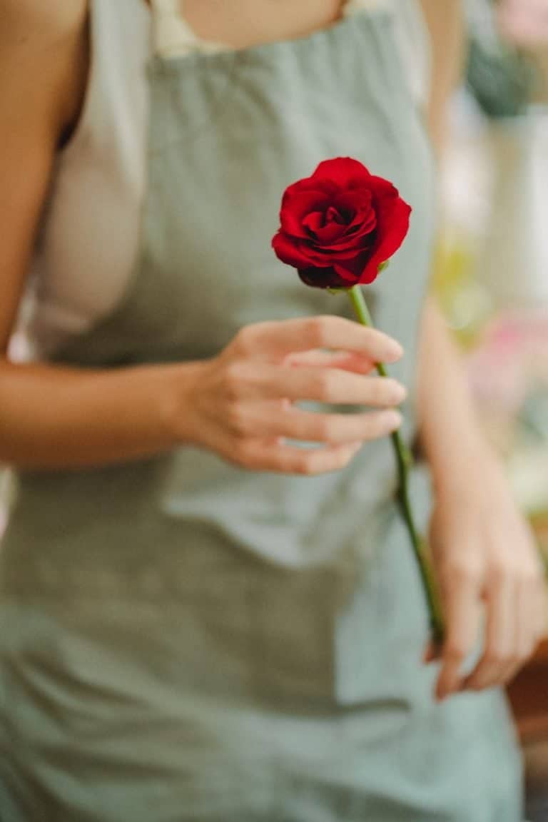 florist holding a red rose