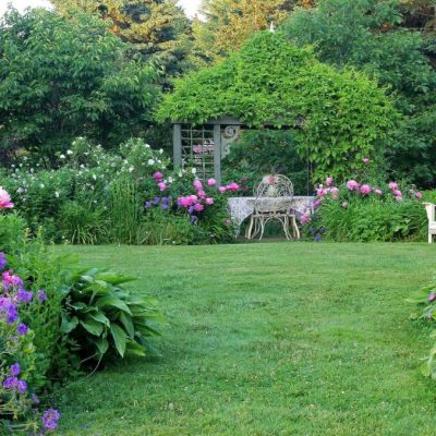 Low-Maintenance Gardening: Achieve a Beautiful Garden with Ease